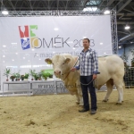 OMÉK 2013 képei