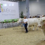 OMÉK 2013 képei