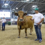 OMÉK 2013 képei