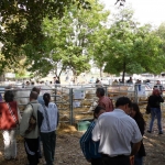 OMÉK 2013 képei