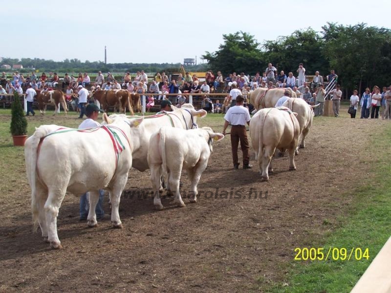 OMÉK 2005. 