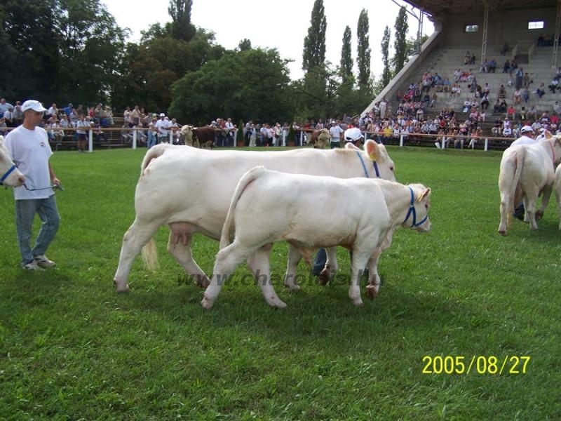 OMÉK 2005. 