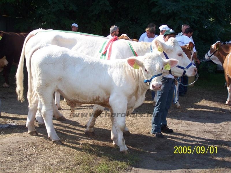 OMÉK 2005. 