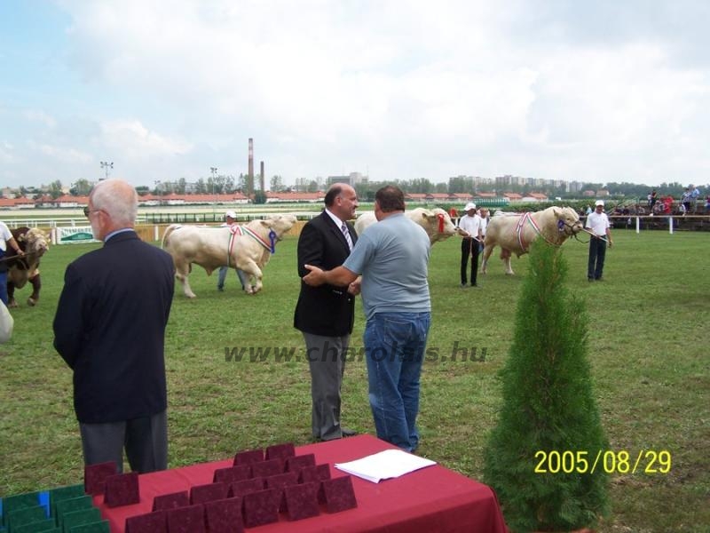 OMÉK 2005.