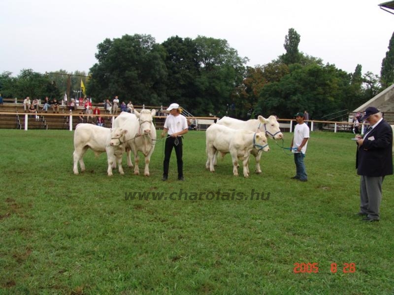 OMÉK 2005.