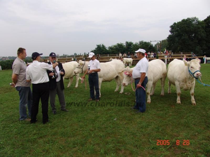 OMÉK 2005.