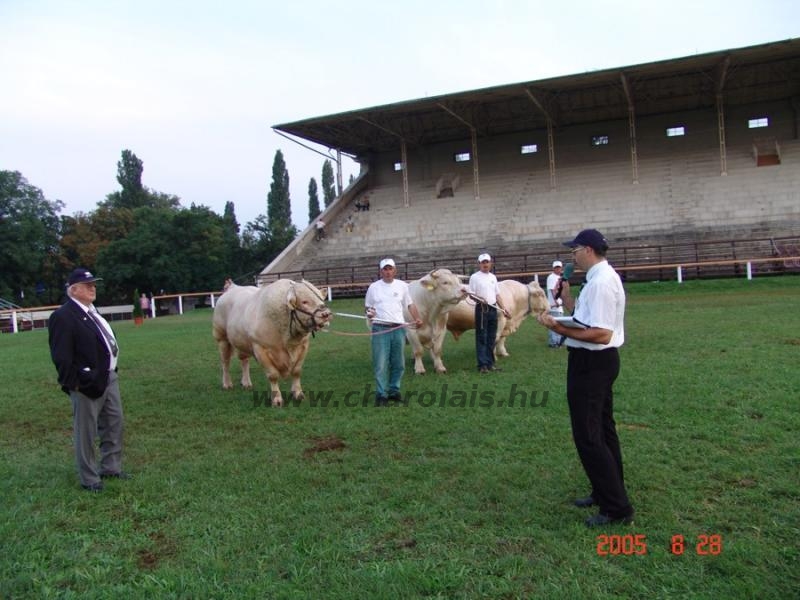 OMÉK 2005.