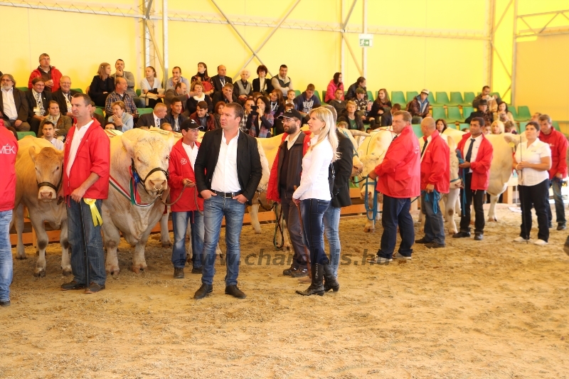 OMÉK 2017