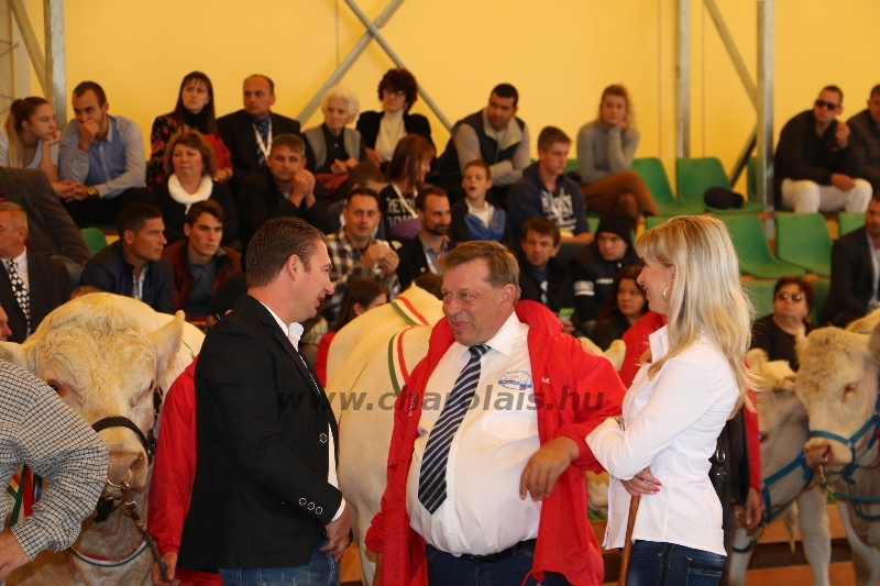 OMÉK 2017
