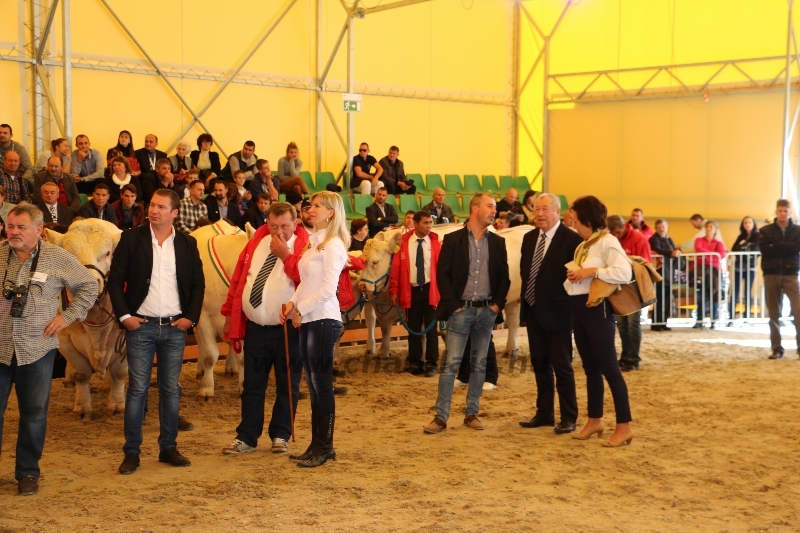 OMÉK 2017