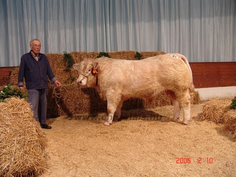 Verden 2006.02.8-13. 