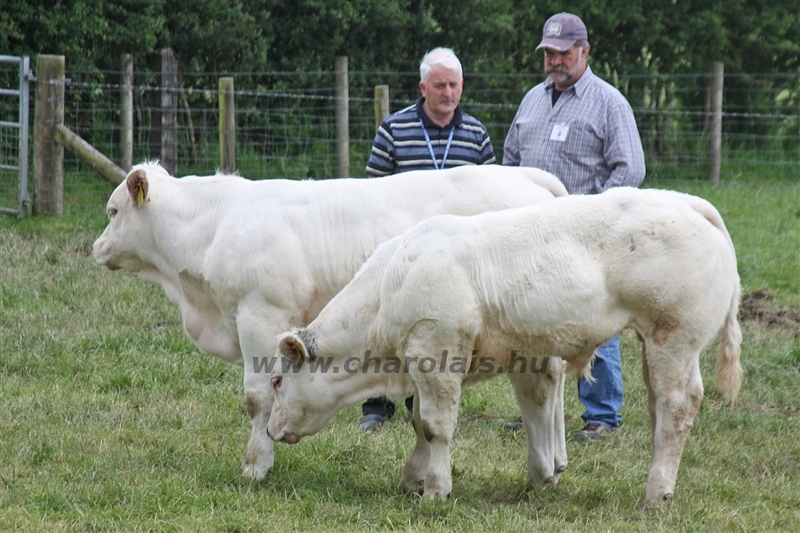 WCC Nagy-Britannia 2012 - Helge