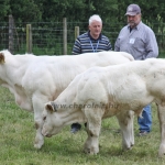 WCC Nagy-Britannia 2012 - Helge