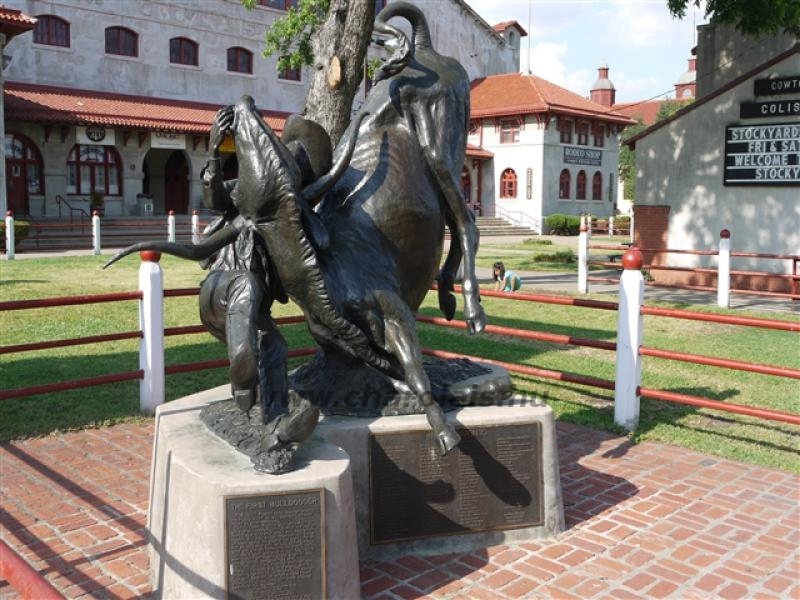 Világkongresszus USA 2010
