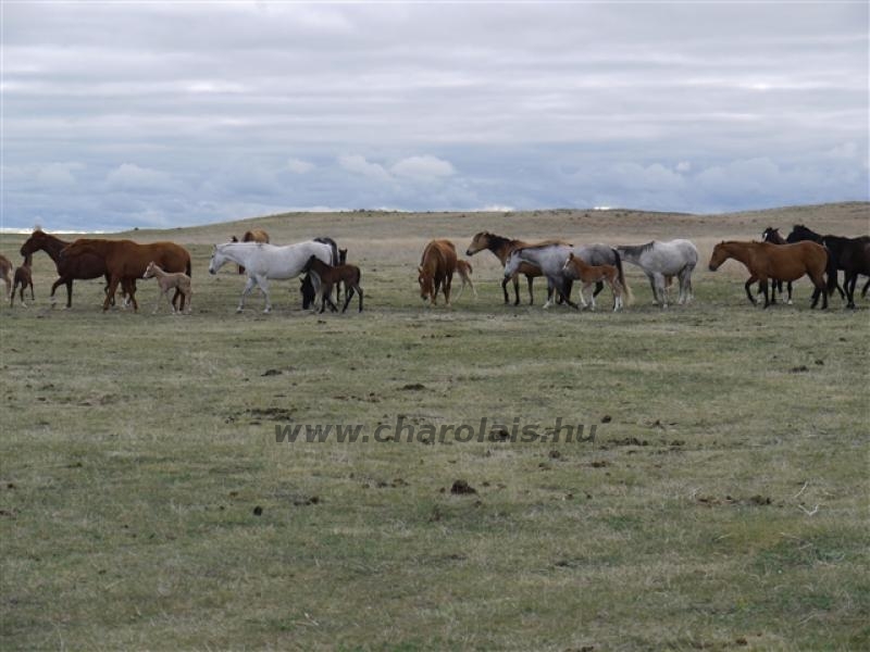 Világkongresszus USA 2010