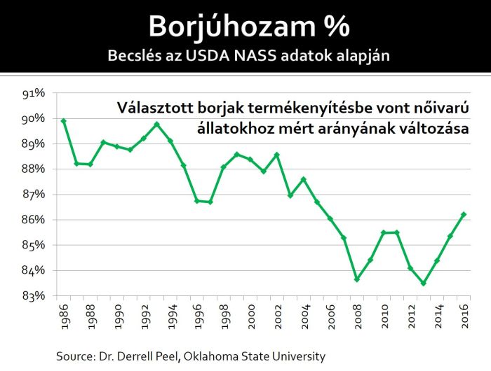 04 2borjuhozamszazalek