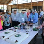 2018sved_wcc