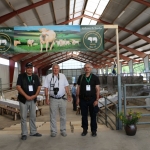 2018sved_wcc