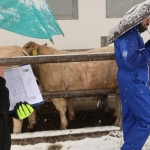 Hegyalja-Bos Kft. STV 2020. január
