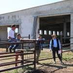 Bódvavölgyi Charolais TTSZ