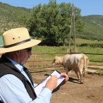 Bódvavölgyi Charolais TTSZ