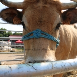 Farmer-expo 2023
