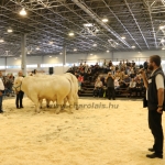 OMÉK 2019