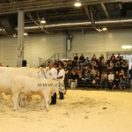 OMÉK 2019