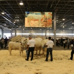 OMÉK 2019