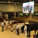 OMÉK 2019