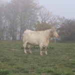 abauj151103