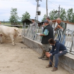 akasztongy150623