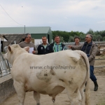 akasztongy150623