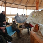 bikavasar170125