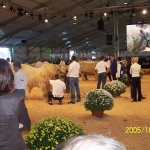 Clermont Ferrond 2005. október 