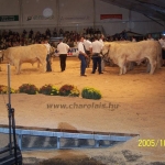 Clermont Ferrond 2005. október 