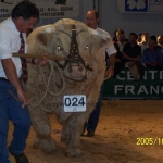 Clermont Ferrond 2005. október 