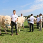farmer17valogat
