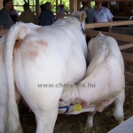 Farmer Expo 2005. 