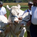 Farmer Expo 2005. 