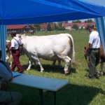 Farmer Expo 2005. 