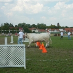 Farmer Expo 2009.
