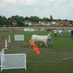 Farmer Expo 2009.