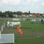 Farmer Expo 2009.
