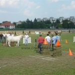 Farmer Expo 2009.
