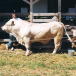 Farmer EXPO 2004