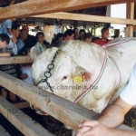 Farmer EXPO 2004