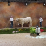 Sommet de l&#039;Élevage - 2013
