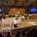 Sommet de l&#039;Élevage - 2013