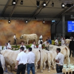 Sommet de l&#039;Élevage - 2013